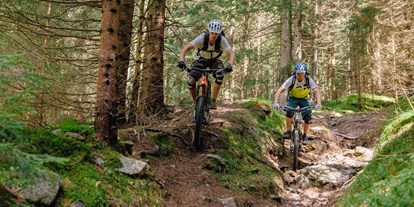 Mountainbike Urlaub - Therme - Ortners Eschenhof