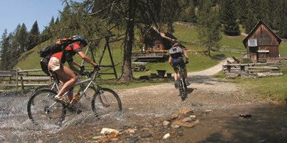 Mountainbike Urlaub - Bikeverleih beim Hotel: Mountainbikes - Ortners Eschenhof