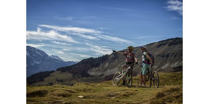 Mountainbike Urlaub - Garten - Waging am See - Blick auf die Berge im Salzburgerland - DAS Hintersee