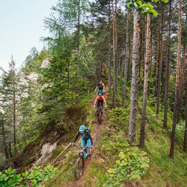 Mountainbikehotel: Herausfordernde Routen - Ferienwohnungen und Seebungalows am Faaker See - Karglhof OG