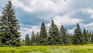 Landschaft in Bayern