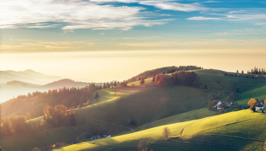 Landschaftsbild Schwarzwald