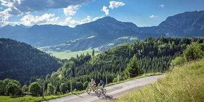 Mountainbike Urlaub - Umgebungsschwerpunkt: Stadt - Steinwand (Krems in Kärnten, Rennweg am Katschberg) - Servus die Wadln - Hotel Zum Jungen Römer