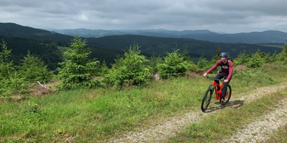 Mountainbike Urlaub - Biketransport: öffentliche Verkehrsmittel - Habichtswald - The Conscious Farmer B&B