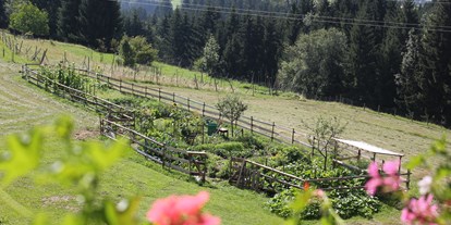Mountainbike Urlaub - Umgebungsschwerpunkt: Berg - Untermöschach - Hauseigener Kräuter- und Gemüsegarten - Naturgut Gailtal