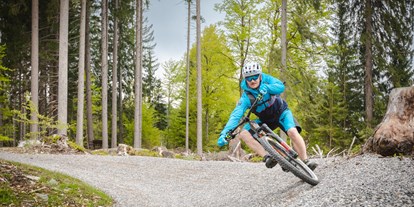 Mountainbike Urlaub - Biketransport: öffentliche Verkehrsmittel - Fahrendorf - FLOW TRAIL „MEX - LINE 1“ - Naturgut Gailtal