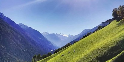 Mountainbike Urlaub - Massagen - Mühlbach (Trentino-Südtirol) - Blick ins hintere Stubaital - Hotel Café Brunnenhof