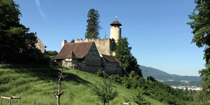 Mountainbike Urlaub - veganes Essen - Badenweiler - Arlesheim mit seinen 2 Burgen - Hotel Gasthof zum Ochsen