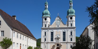 Mountainbike Urlaub - Münstertal - Arlesheimer Dom mit Silbermann Orgel - Hotel Gasthof zum Ochsen