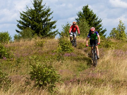 Mountainbike Urlaub - kostenloser Verleih von GPS Geräten - Sundern - auf geführter Tour - Schröders Hotelpension