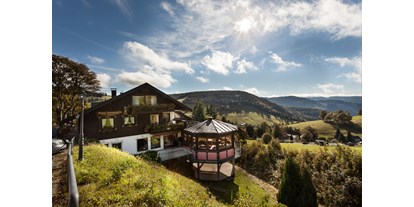 Mountainbike Urlaub - Sauna - Steinen (Landkreis Lörrach) - Hotel Sonnenalm Todtnauberg Hochschwarzwald 
Blick nach Süd-Osten - Panorama Lodge Sonnenalm Hochschwarzwald