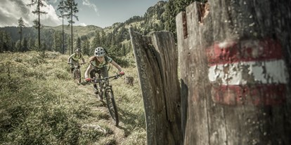 Mountainbike Urlaub - Bikeverleih beim Hotel: Mountainbikes - Kötzing - Hotel Bergzeit