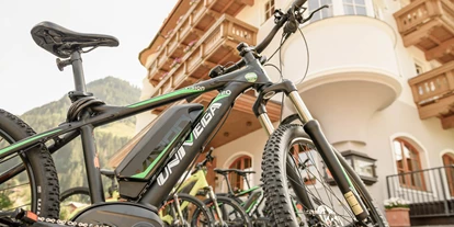 Mountainbike Urlaub - Biketransport: öffentliche Verkehrsmittel - Witschdorf - Hotel Bergzeit