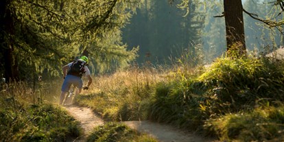 Mountainbike Urlaub - Preisniveau: moderat - Trentino-Südtirol - Hotel Elisabeth
