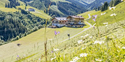Mountainbike Urlaub - Parkplatz: kostenlos beim Hotel - PLZ 5733 (Österreich) - Urlaub auf dem Bauernhof - auch dies ist bei uns möglich - Ferienwohnungen Perfeldhof