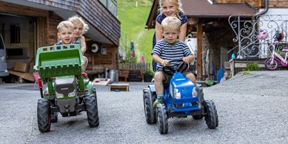 Mountainbike Urlaub - Haustrail - Zell am See - Viele Freizeitmöglichkeiten für Kinder - Ferienwohnungen Perfeldhof