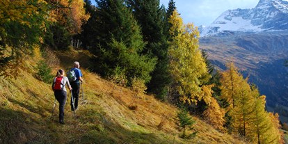 Mountainbike Urlaub - Umgebungsschwerpunkt: See - Gais (Trentino-Südtirol) - Sport Region Wipptal - Gästehaus St. Michael