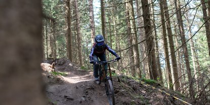 Mountainbike Urlaub - Fahrradraum: vorhanden - Hornburg (Landkreis Wolfenbüttel) - Technische Trails - Harz-BnB Werkmeister