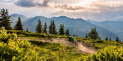Mountainbike Urlaub - Preisniveau: gehoben - Wald (Wald im Pinzgau) - Hacklbergtrail ©  Felix Hens - 4****Hotel Hasenauer