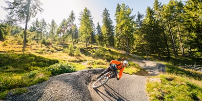 Mountainbike Urlaub - Bikeverleih beim Hotel: Zubehör - Unterdöbernitzen - Flow Country Trail - Trattlers Hof-Chalets