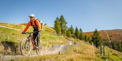 Mountainbike Urlaub - Umgebungsschwerpunkt: Therme - Unterdöbernitzen - Flow Country Trail - Trattlers Hof-Chalets