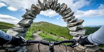 Mountainbike Urlaub - Bikeverleih beim Hotel: Zubehör - Unterdöbernitzen - längster Flow Trail Europas - Trattlers Hof-Chalets