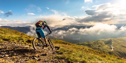 Mountainbike Urlaub - Umgebungsschwerpunkt: Berg - PLZ 9872 (Österreich) - Biken - Trattlers Hof-Chalets