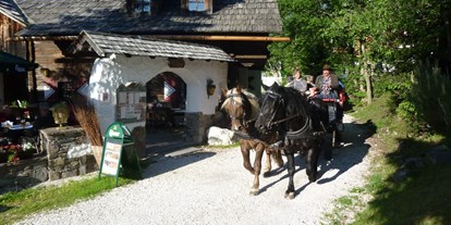 Mountainbike Urlaub - PLZ 5581 (Österreich) - Pferdekutschen Erlebnisfahrten - Hotel GUT Trattlerhof & Chalets****
