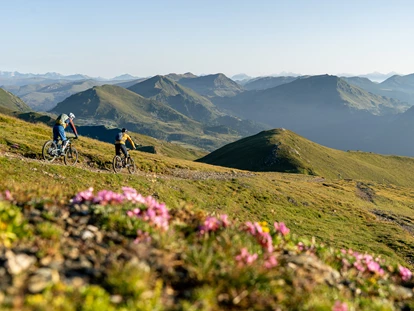 Mountainbike Urlaub - Hunde: auf Anfrage - Oberdörfl / Zgornja vesca - Biken in Süden Österreichs in Kärnten - Hotel GUT Trattlerhof & Chalets****