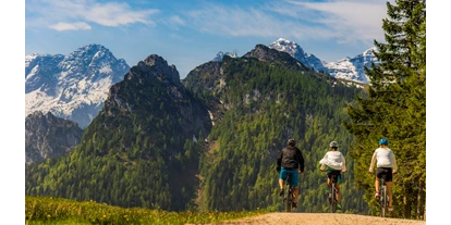 Mountainbike Urlaub - Verpflegung: alkoholfreie Getränke ganztags inklusive - Uggl - E-Bike - Familien und Vitalhotel Mühlpointhof ***S