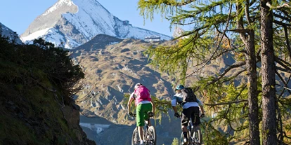 Mountainbike Urlaub - Biketransport: öffentliche Verkehrsmittel - Witschdorf - Mountainbiken in Zell am See-Kaprun - Hotel Sonnblick