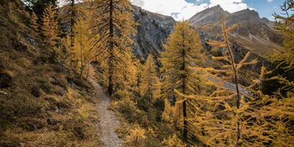 Mountainbike Urlaub - Haustrail - Flims Waldhaus - Traumhafte Landschaft Davos - Hotel Dischma