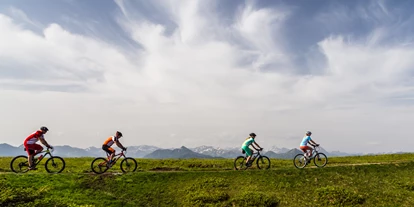 Mountainbike Urlaub - E-Bike Ladestation - Steinwand (Krems in Kärnten, Rennweg am Katschberg) - © Salzburger Sportwelt/Coen Weesjes - Gut Weissenhof ****Superior