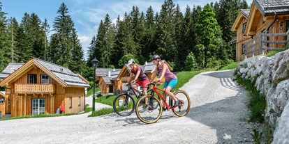 Mountainbike Urlaub - Bikeverleih beim Hotel: Mountainbikes - AlpenParks Hagan Lodge Altaussee