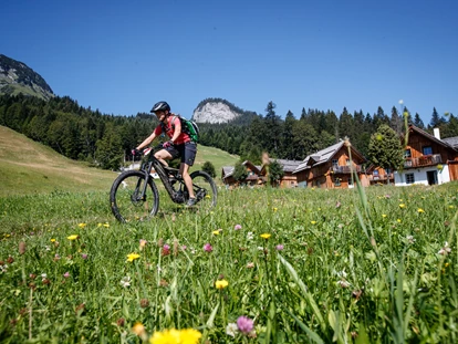 Mountainbike Urlaub - veganes Essen - Hörgattern - AlpenParks Hagan Lodge Altaussee