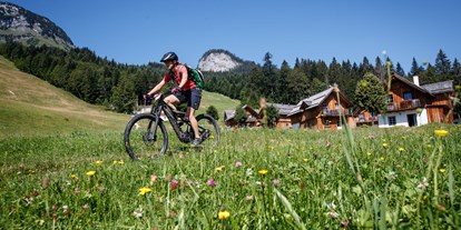 Mountainbike Urlaub - E-Bike Ladestation - Gosau - AlpenParks Hagan Lodge Altaussee