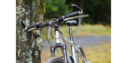 Mountainbike Urlaub - E-Bike Ladestation - Ohrdruf - Mountainbike - Hotel Beck