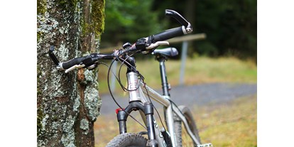 Mountainbike Urlaub - Biketransport: sonstige Transportmöglichkeiten - Oberhof (Landkreis Schmalkalden-Meiningen) - Mountainbike - Hotel Beck