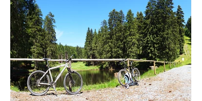 Mountainbike Urlaub - Biketransport: sonstige Transportmöglichkeiten - Judenbach - Mountainbike Touren - Hotel Beck