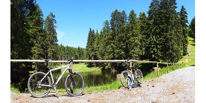 Mountainbike Urlaub - Fahrrad am Zimmer erlaubt - Thüringen Süd - Mountainbike Touren - Hotel Beck