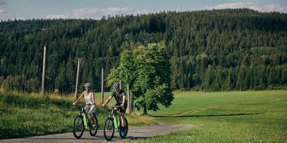 Mountainbike Urlaub - Garten - Rutzing (Hörsching) - Hotel Guglwald