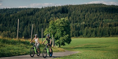 Mountainbike Urlaub - Pools: Außenpool beheizt - Neulichtenberg (Lichtenberg, Gramastetten) - Hotel Guglwald