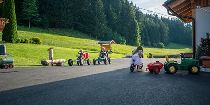 Mountainbike Urlaub - Hunde: auf Anfrage - Oberdorf (Weißensee) - Chalets und Apartments Hauserhof