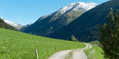 Mountainbike Urlaub - Fahrradraum: videoüberwacht - Hollersbach im Pinzgau - Aussicht - Mountain Residence Montana