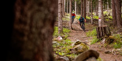 Mountainbike Urlaub - kostenloser Verleih von GPS Geräten - Biketour - Feldhof DolceVita Resort