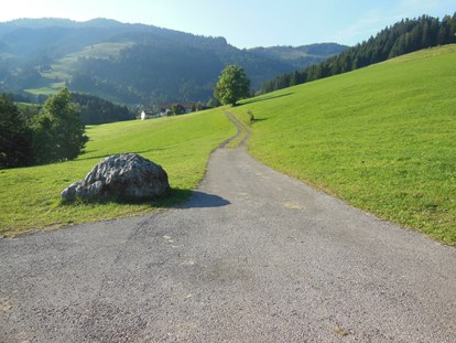 Mountainbike Urlaub - Wellnessbereich - Immenstadt im Allgäu - Berg- und Aktivhotel Edelsberg, Bad Hindelang-Unterjoch, Umgebung - Berg- und Aktivhotel Edelsberg GmbH