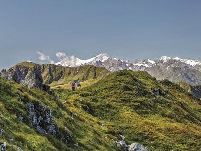 Mountainbike Urlaub - geprüfter MTB-Guide - Mayrhofen (Saalfelden am Steinernen Meer) - Hotel DAS ZWÖLFERHAUS