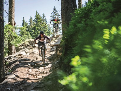 Mountainbike Urlaub - Biketransport: Bergbahnen - Hotel DAS ZWÖLFERHAUS