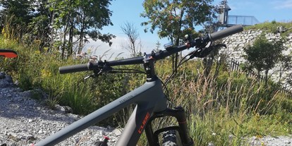 Mountainbike Urlaub - Biketransport: sonstige Transportmöglichkeiten - Biketour zum Schloßkopf - Die Lilie - Hotel Garni
