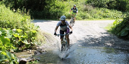 Mountainbike Urlaub - organisierter Transport zu Touren - Vöhl - Landgasthof Rüppel
